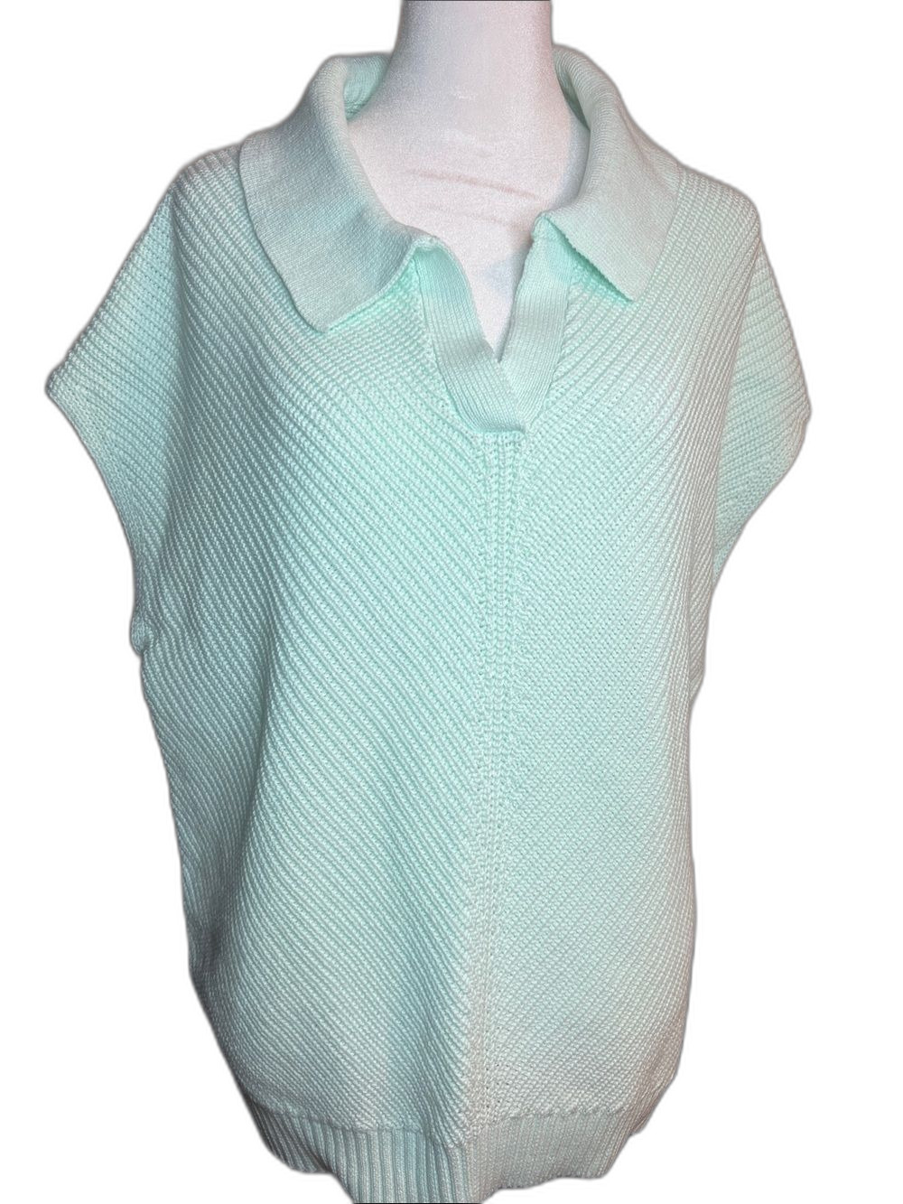 Weatherproof Vintage Men’s Knit Sweater Vest Pullover Polo Light Mint XL